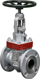 Globe Valve — Bolted Bonnet (Cast Steel)