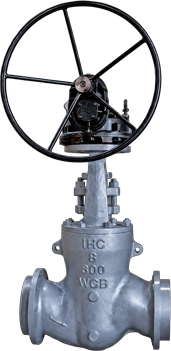 Globe Valve — Pressure Seal Bonnet